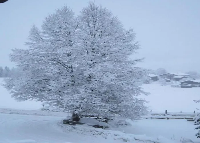 In Near Slopes * Stuhlfelden